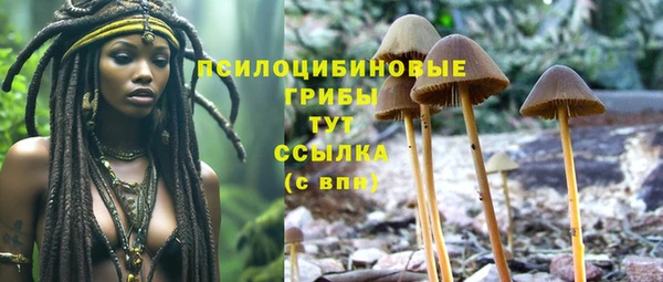 spice Костерёво